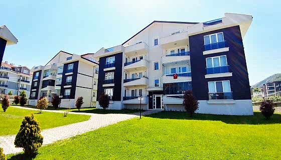 LA VIE PARK